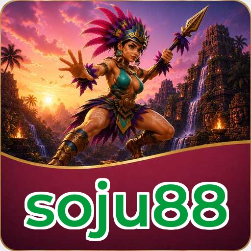 Permissions soju88
